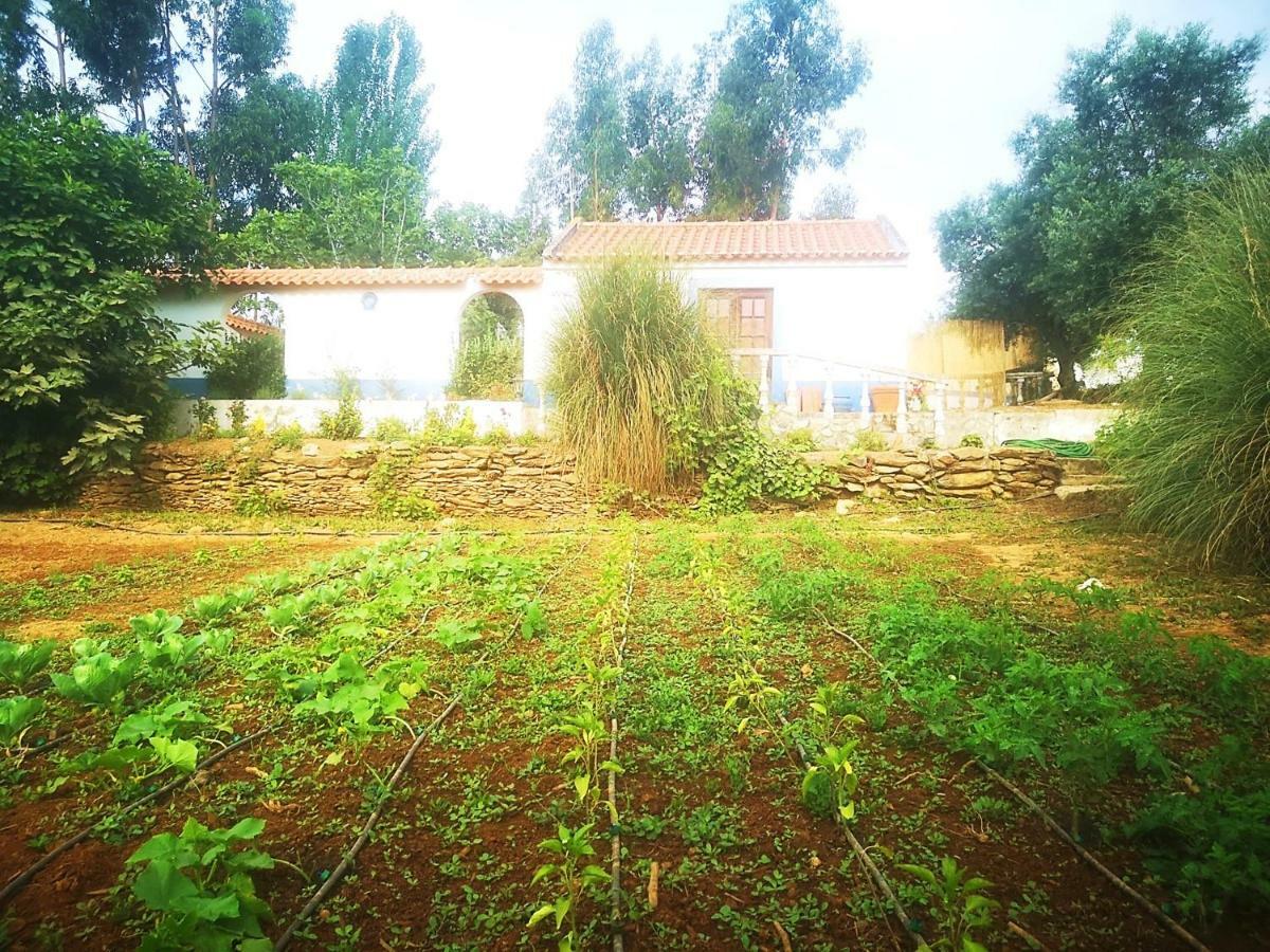 Monte Dos Tres Pocos Villa Cercal do Alentejo Bagian luar foto